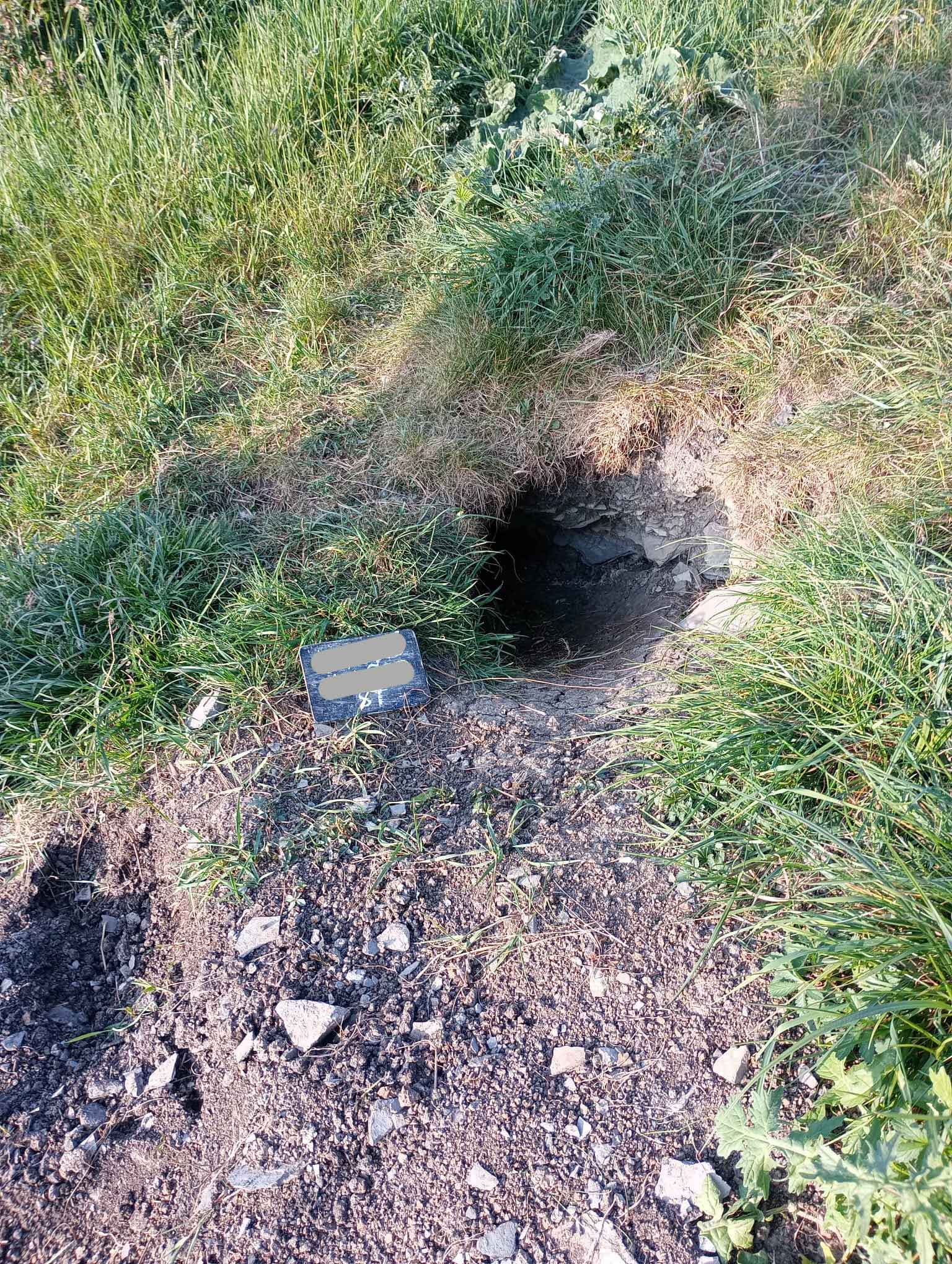 Plot 8 Badger Sett