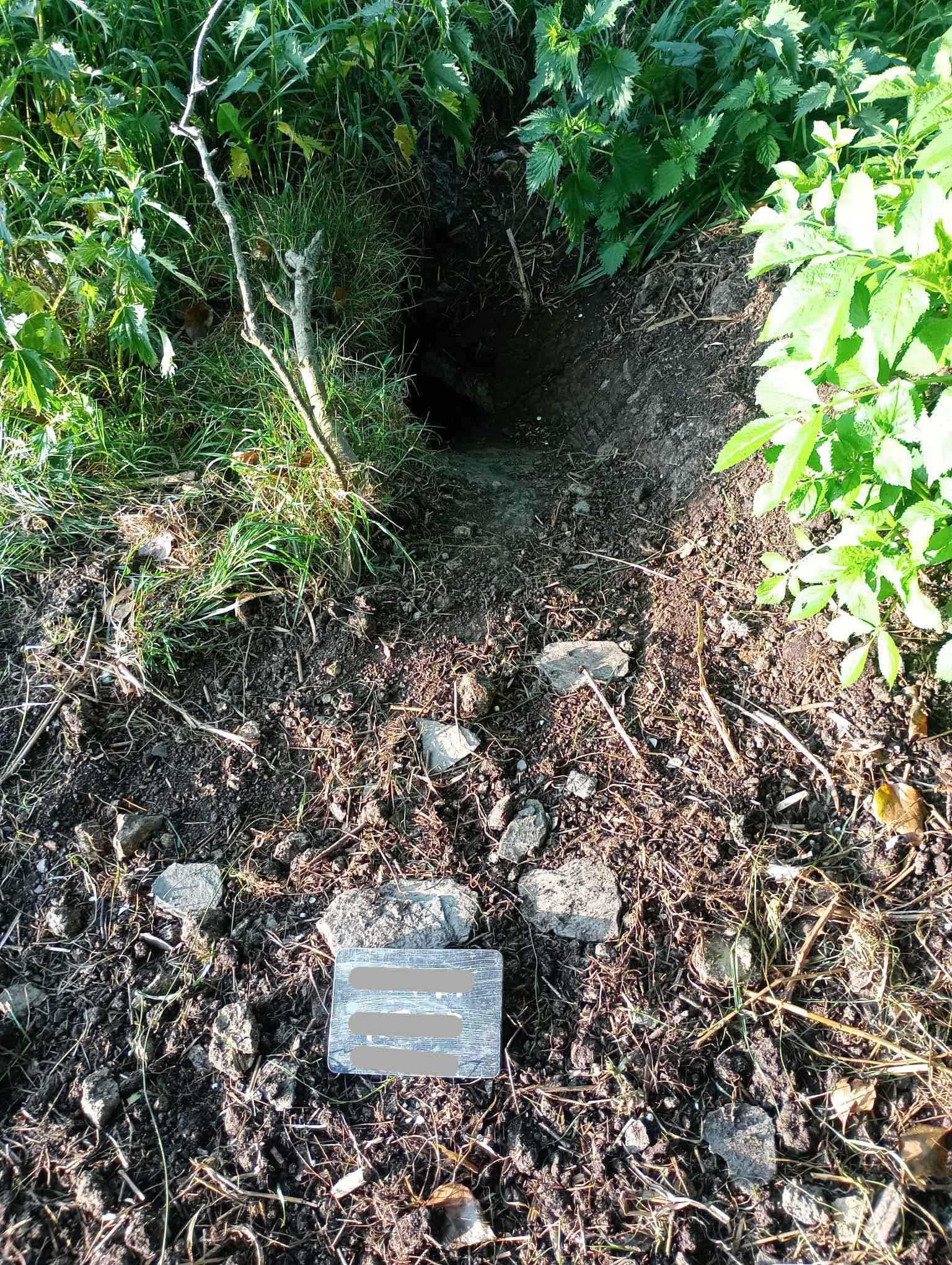 Plot 8 Badger Sett