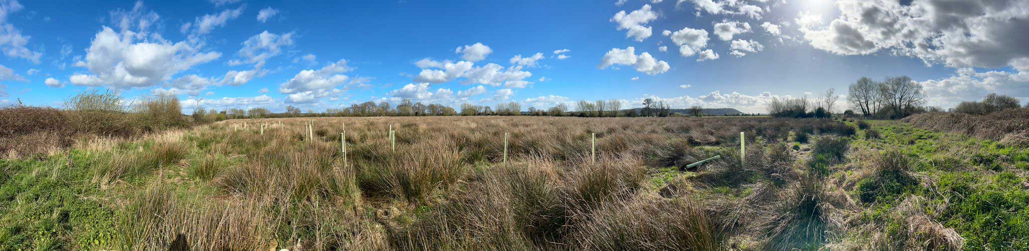 Plot 4 panoramic