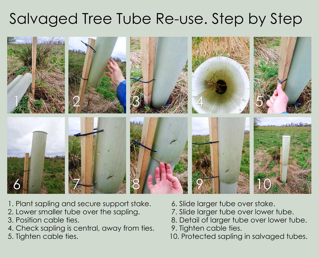 Salvage tree tube step by step